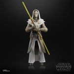 Star Wars The Black Series Jedi Temple Guard 6-Inch Action Figure