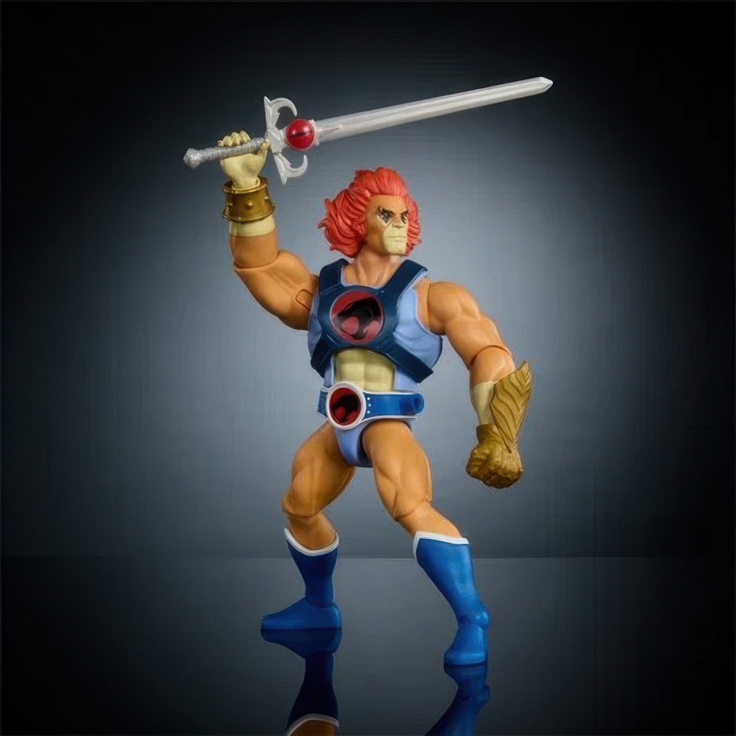 Masters of Universe Origins and ThunderCats Wave 1 Lion-O Action Figure