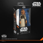 Star Wars Black Series Tessek 6-inch action figure by Hasbro, detailed sci-fi character with armor and accessories
