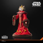 Star Wars Black Series Queen Amidala 6-inch action figure by Hasbro, detailed display of the character in her iconic costume