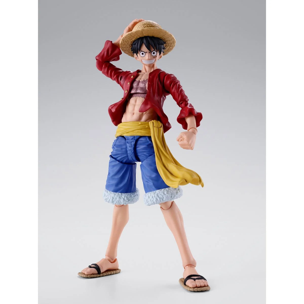 One Piece Monkey D. Luffy Two Years Later S.H. Figuarts Action Figure