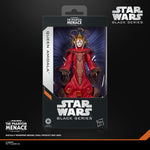 Star Wars Black Series Queen Amidala 6-inch action figure by Hasbro with detailed costume and accessories.
