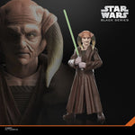 Hasbro Star Wars Black Series Saesee Tiin 6-inch action figure in Jedi robes with lightsaber